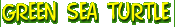 Green Sea Turtle